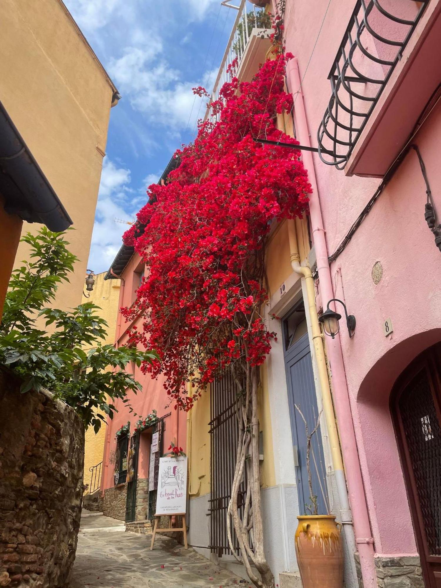 Willa 6Lam16 Maison Typique Avec Toit-Terrasse Collioure Zewnętrze zdjęcie